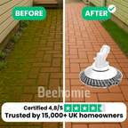T26 PRO risultato giardino